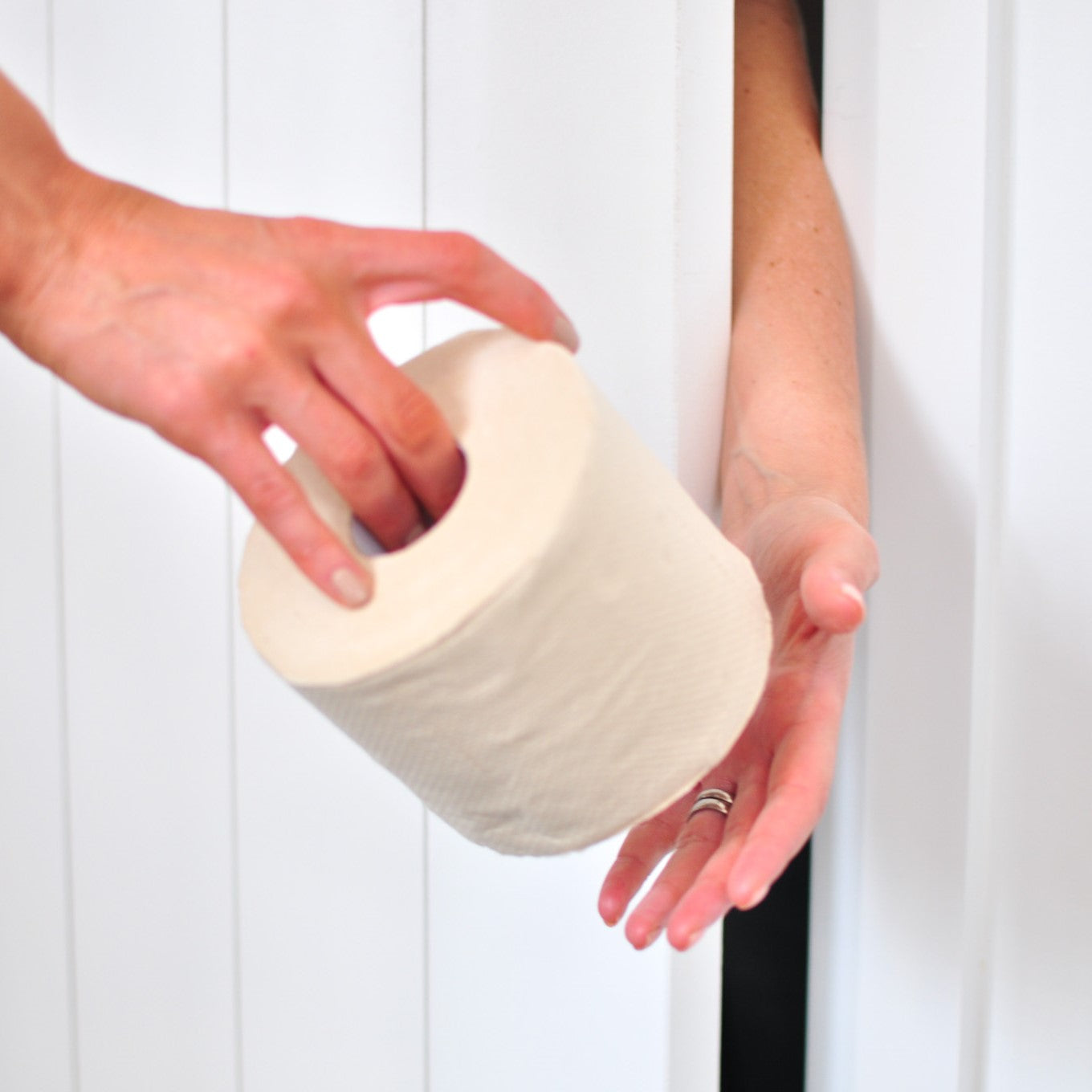 Unbleached Sustainable Eco Bamboo Toilet Paper, Hypoallergenic - Eco Cheeks