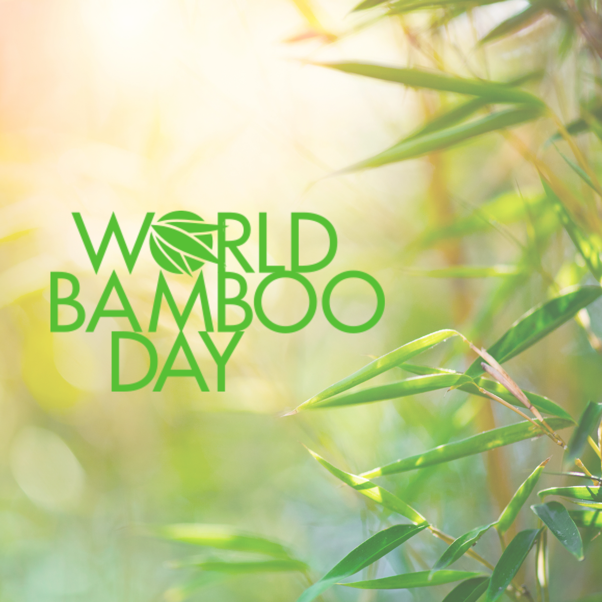 World Bamboo Day | Eco Cheeks