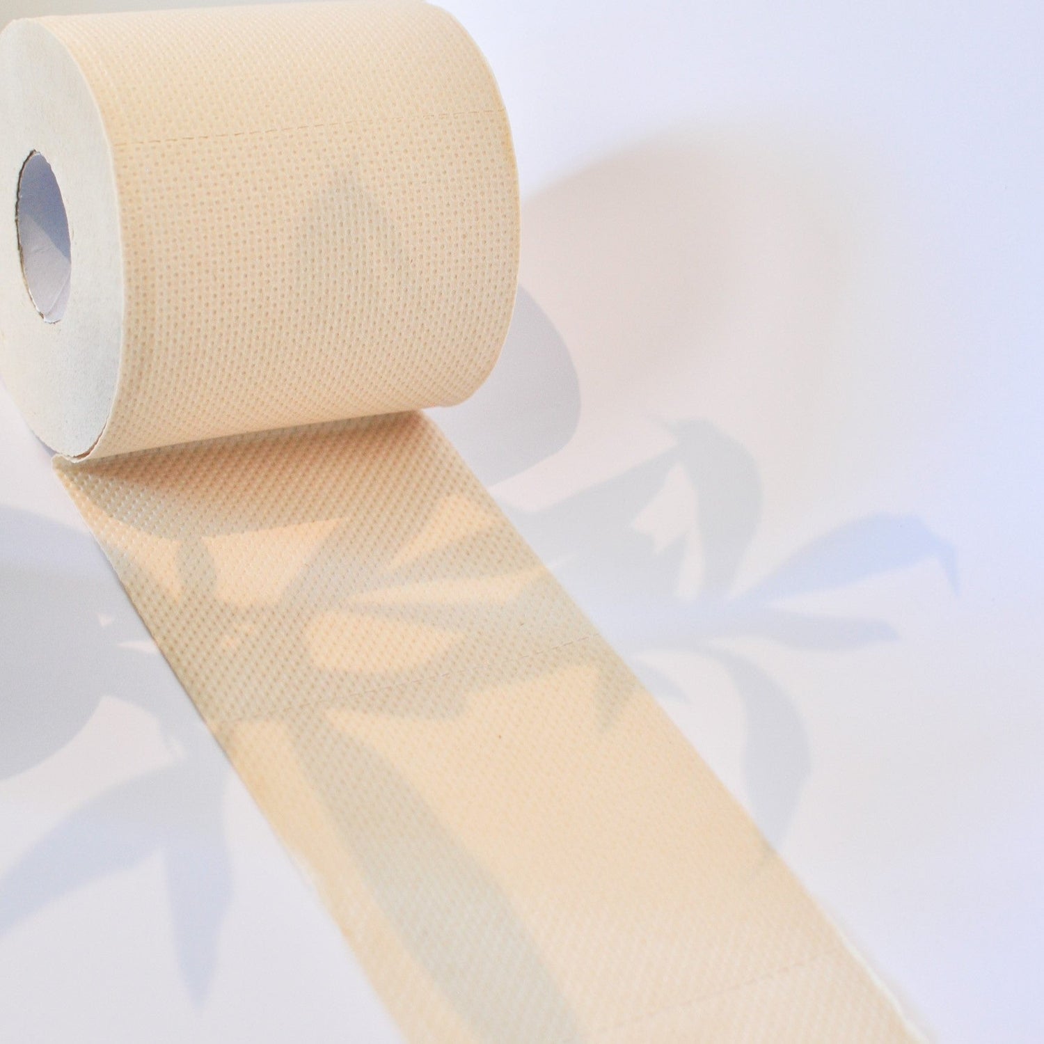 How Unbleached Bamboo Toilet Paper Changes Lives: Eco Cheeks Reviews
