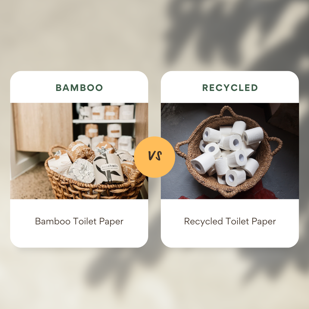 Bamboo Toilet Paper vs. Recycled Toilet Paper | Eco Cheeks 