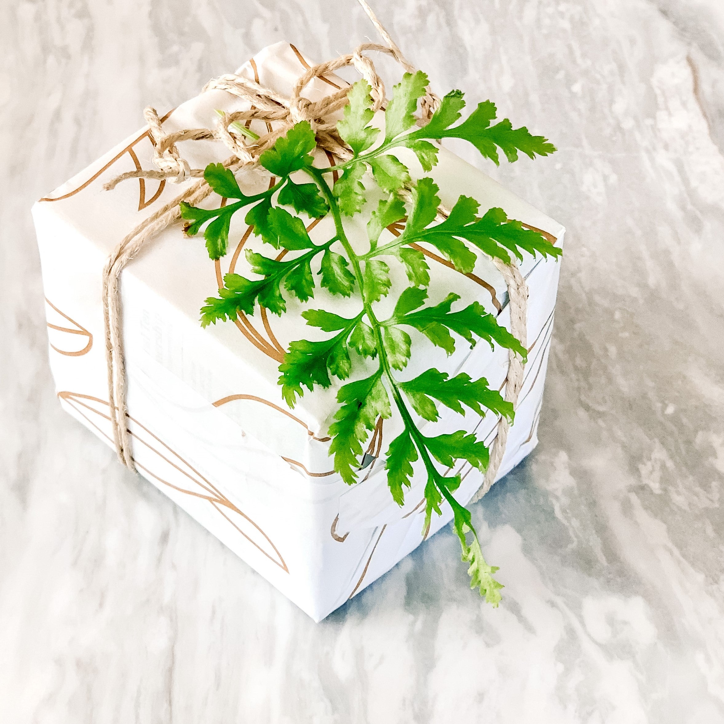 unbleached bamboo toilet paper Christmas