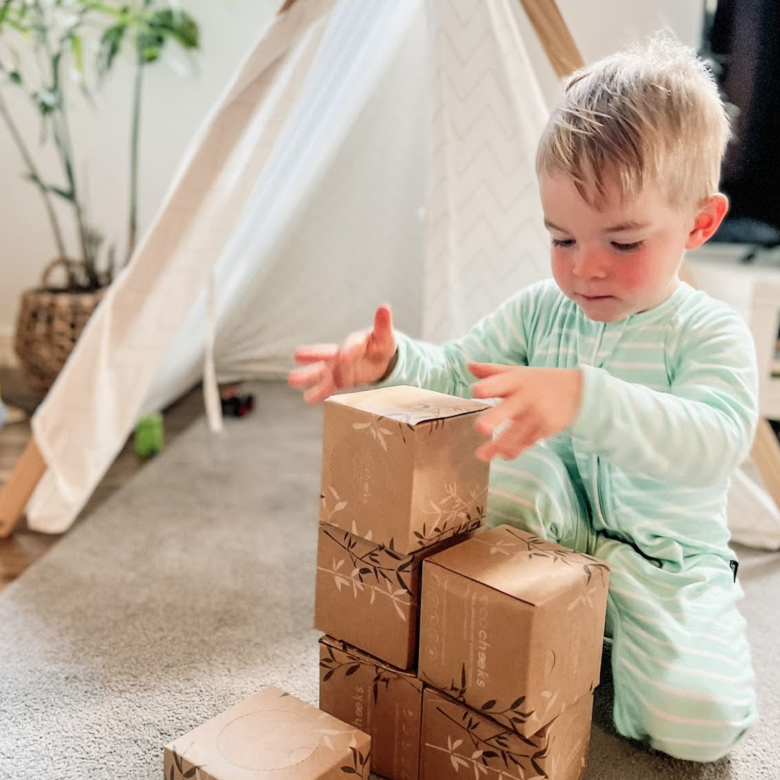 Truth About Hypoallergenic Toilet Paper & Tissue | Eco Cheeks