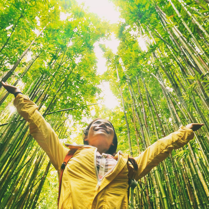 Australia's Love Affair with Bamboo-Based Products: A Sustainable Choice
