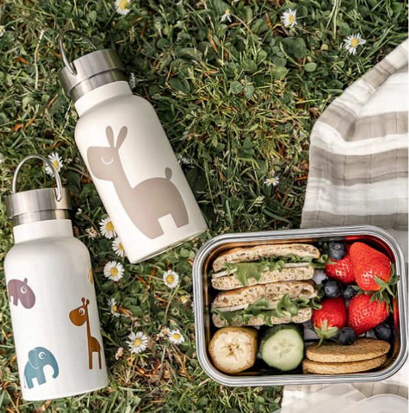 Kids Drink & Eatware: Easy Eco Swaps for a Greener Lunch