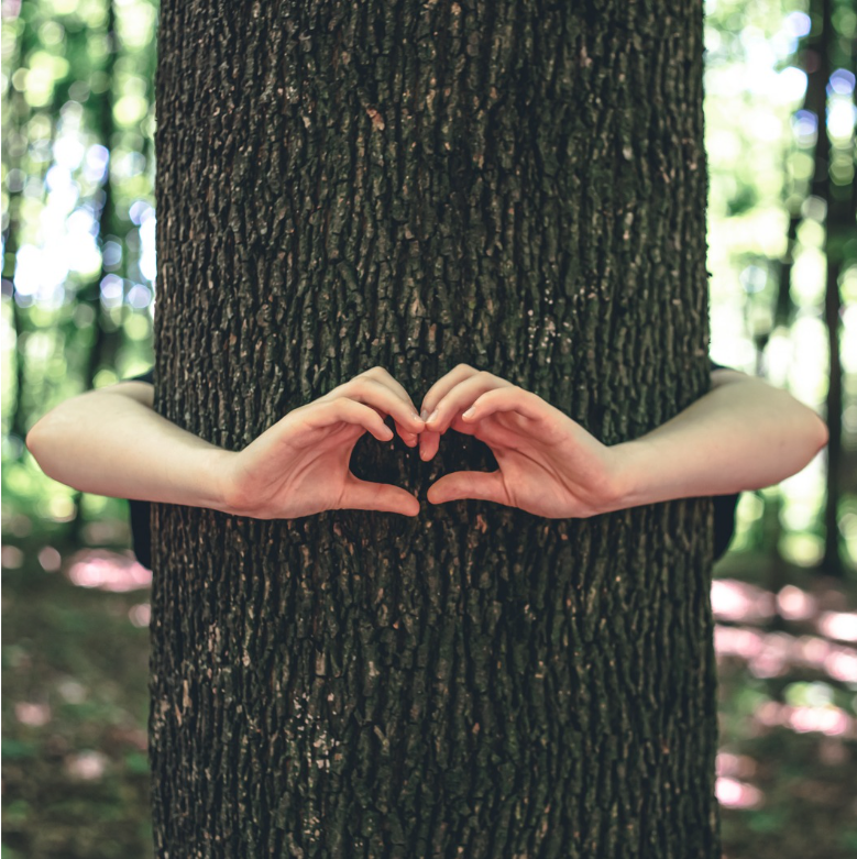 From Grove to Home: Eco Cheeks' Forest Celebration on International Day of Forests