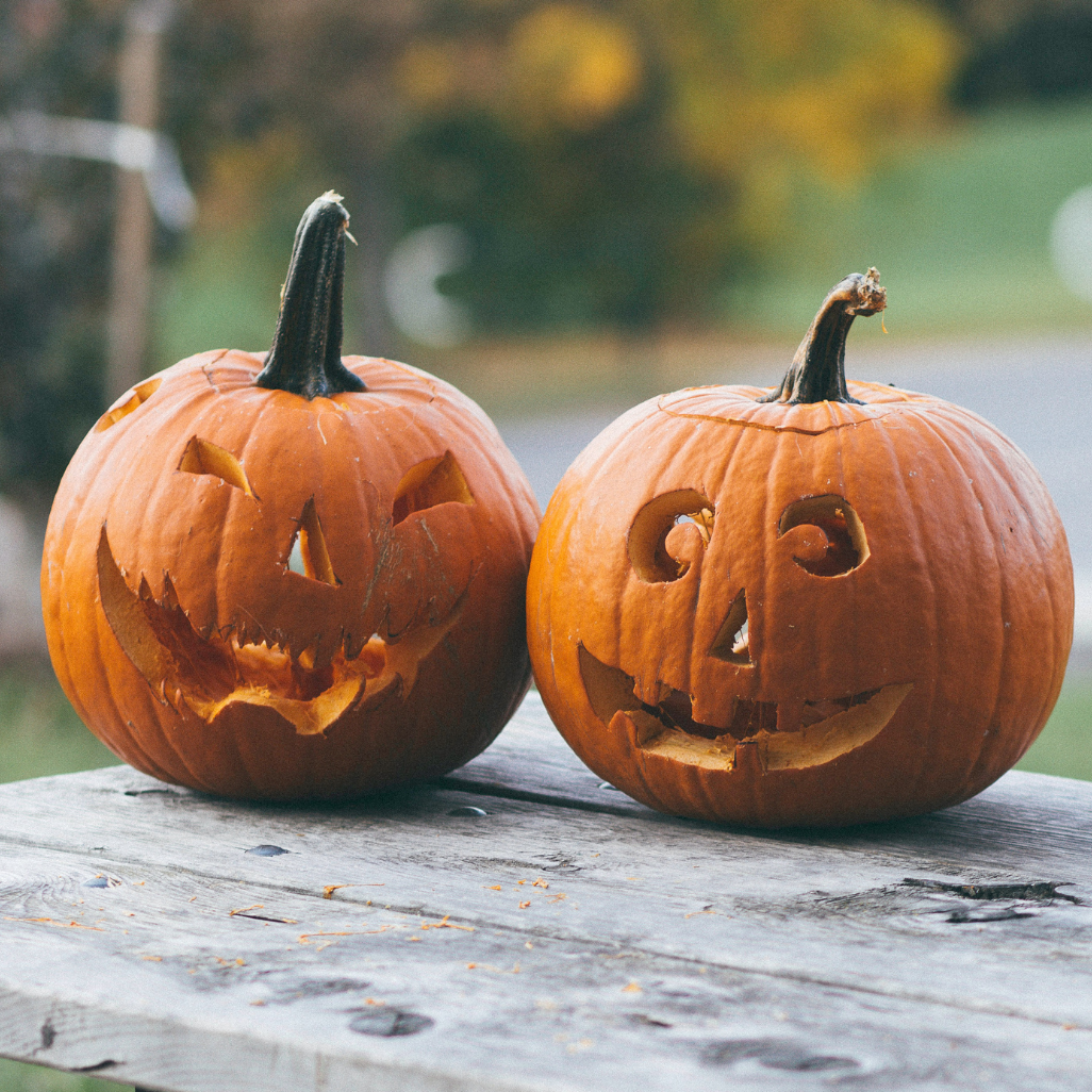 Sustainable Halloween Crafts | Eco Cheeks