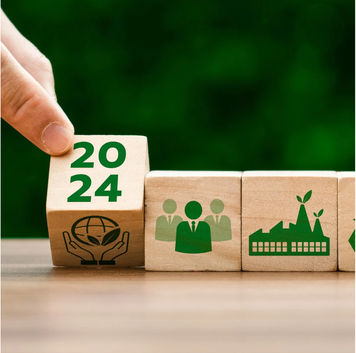 2024: A Fresh Start with Eco-Friendly Resolutions