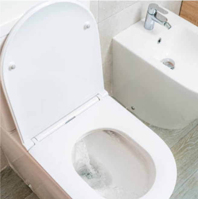 The Toilet Plume of Doom: Why You Should Never Flush with the Lid Up