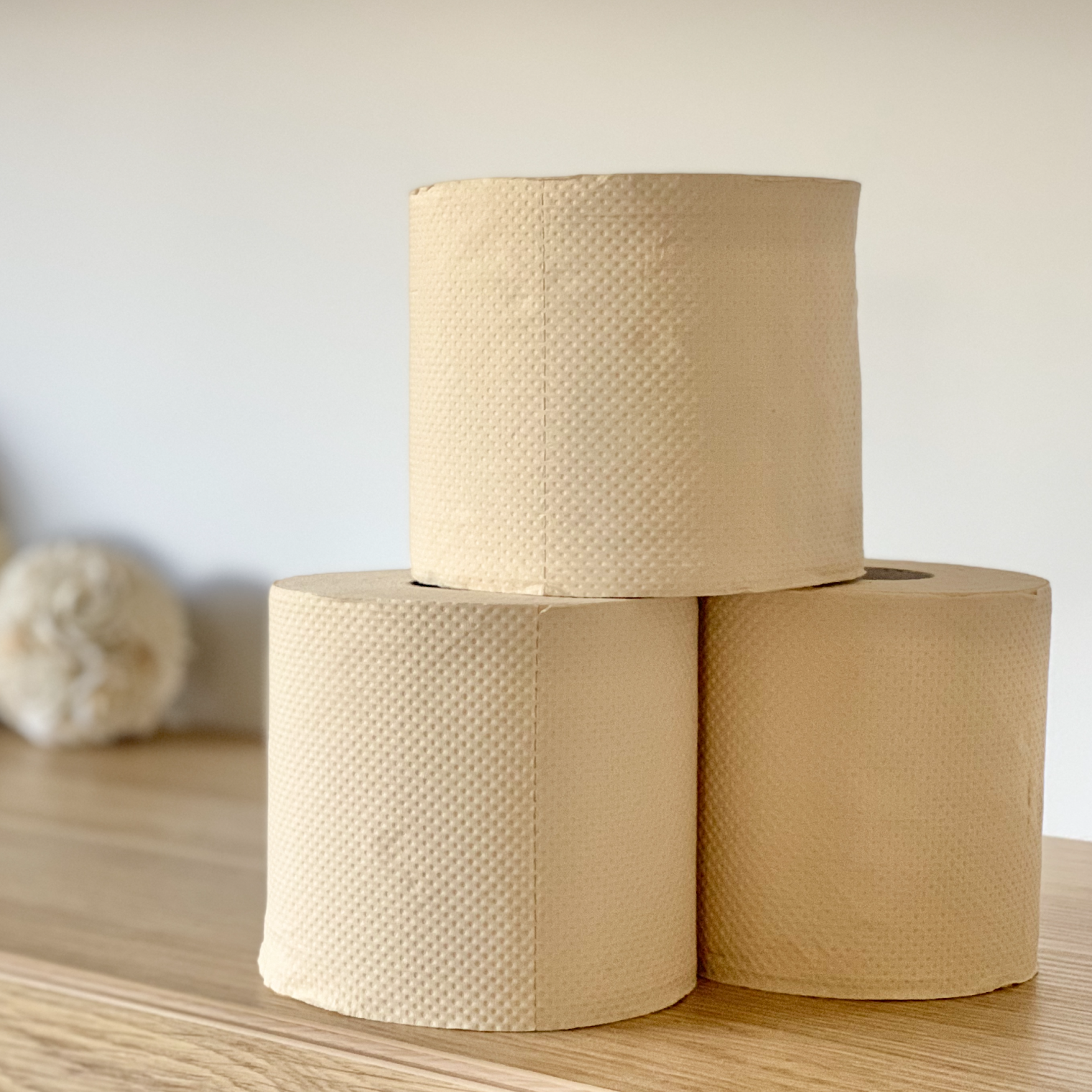 Paper Cheeks The Truth About Biodegradable Toilet Paper | Eco Cheeks