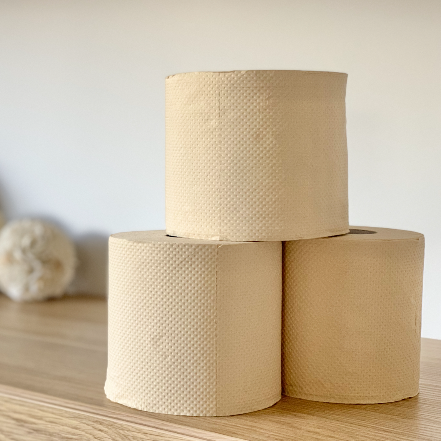 Truth-about-biodegradable-toilet-paper-eco-cheeks
