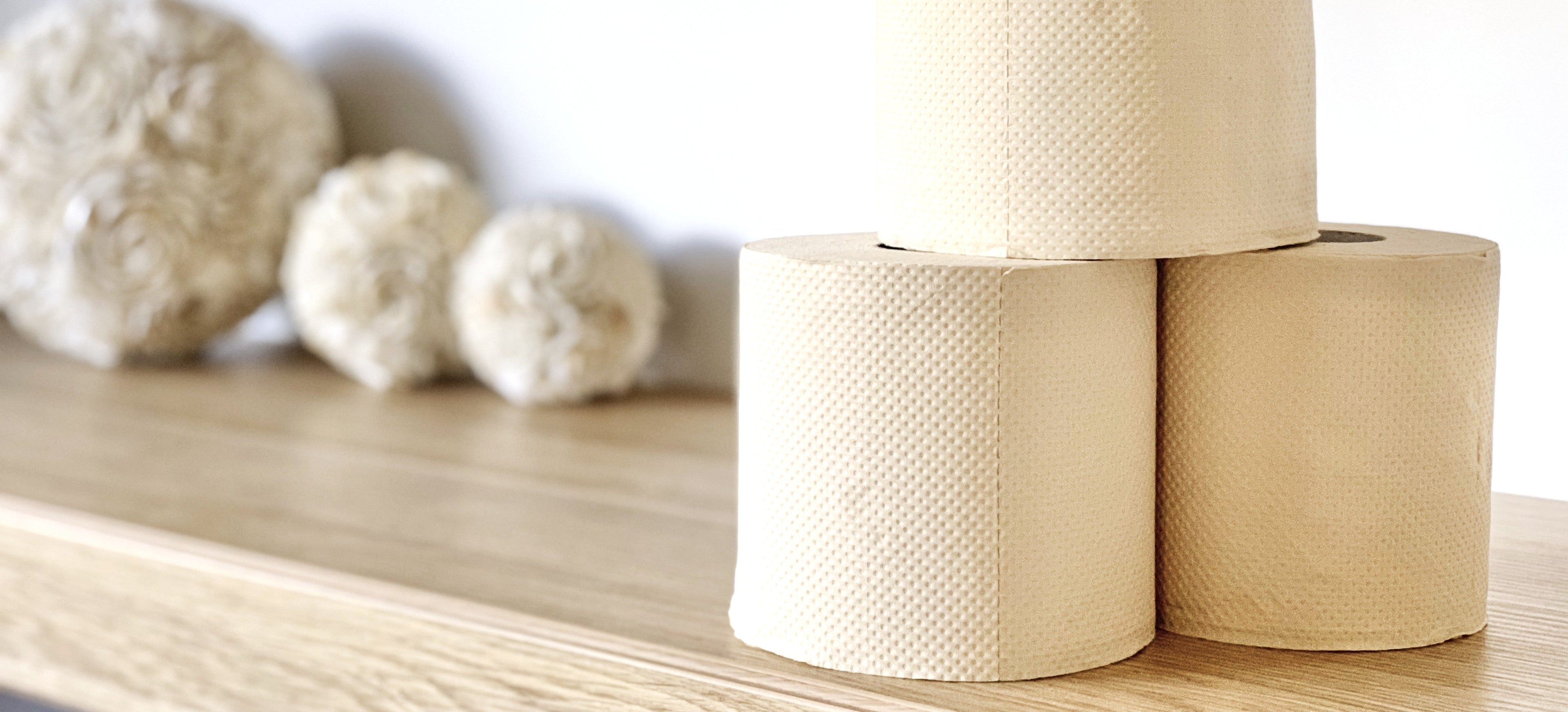 Bare Naked - Wrap Free Bamboo Toilet Paper & Tissue Products