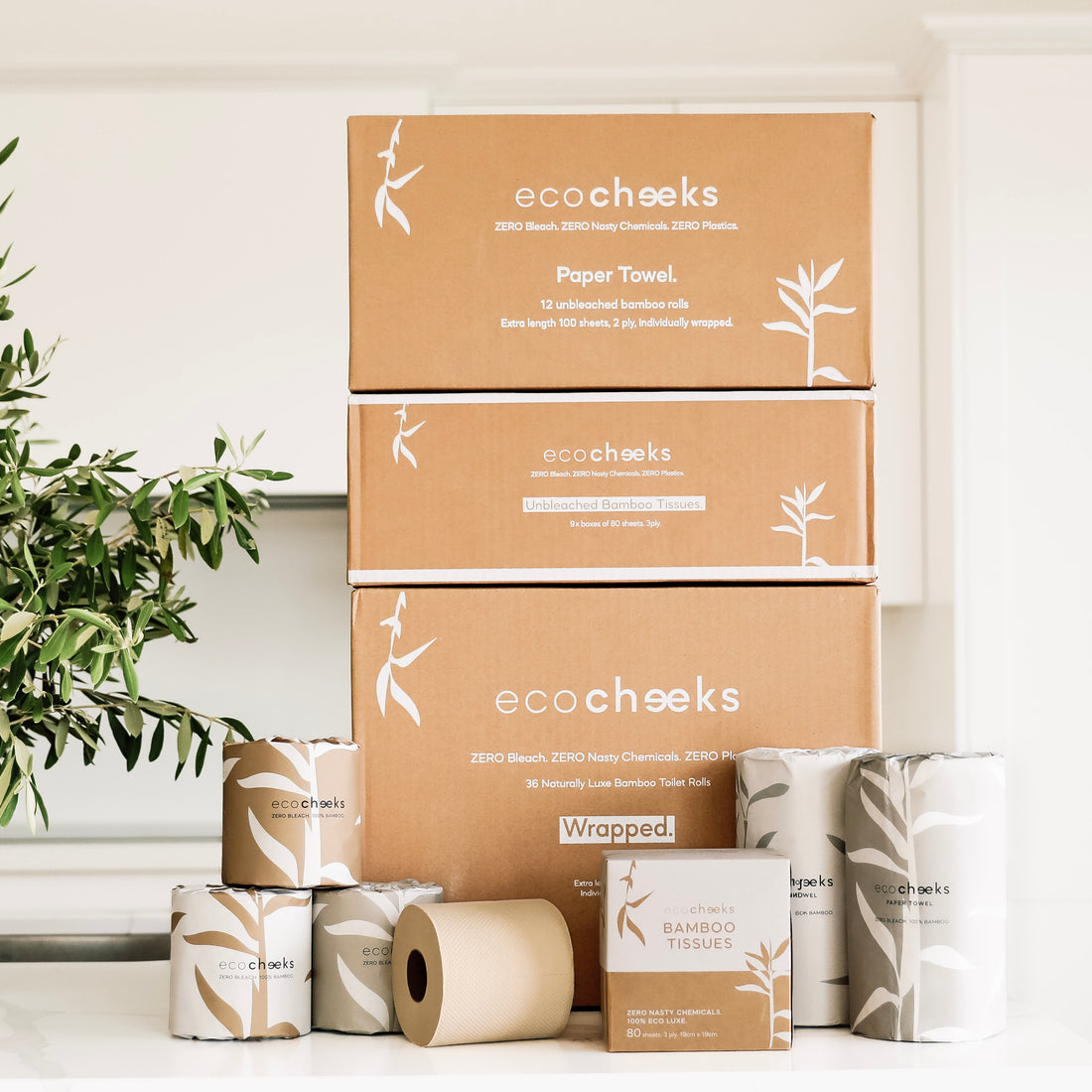 Bulk buy 100% bamboo, unbleached toilet paper, paper towels & tissues