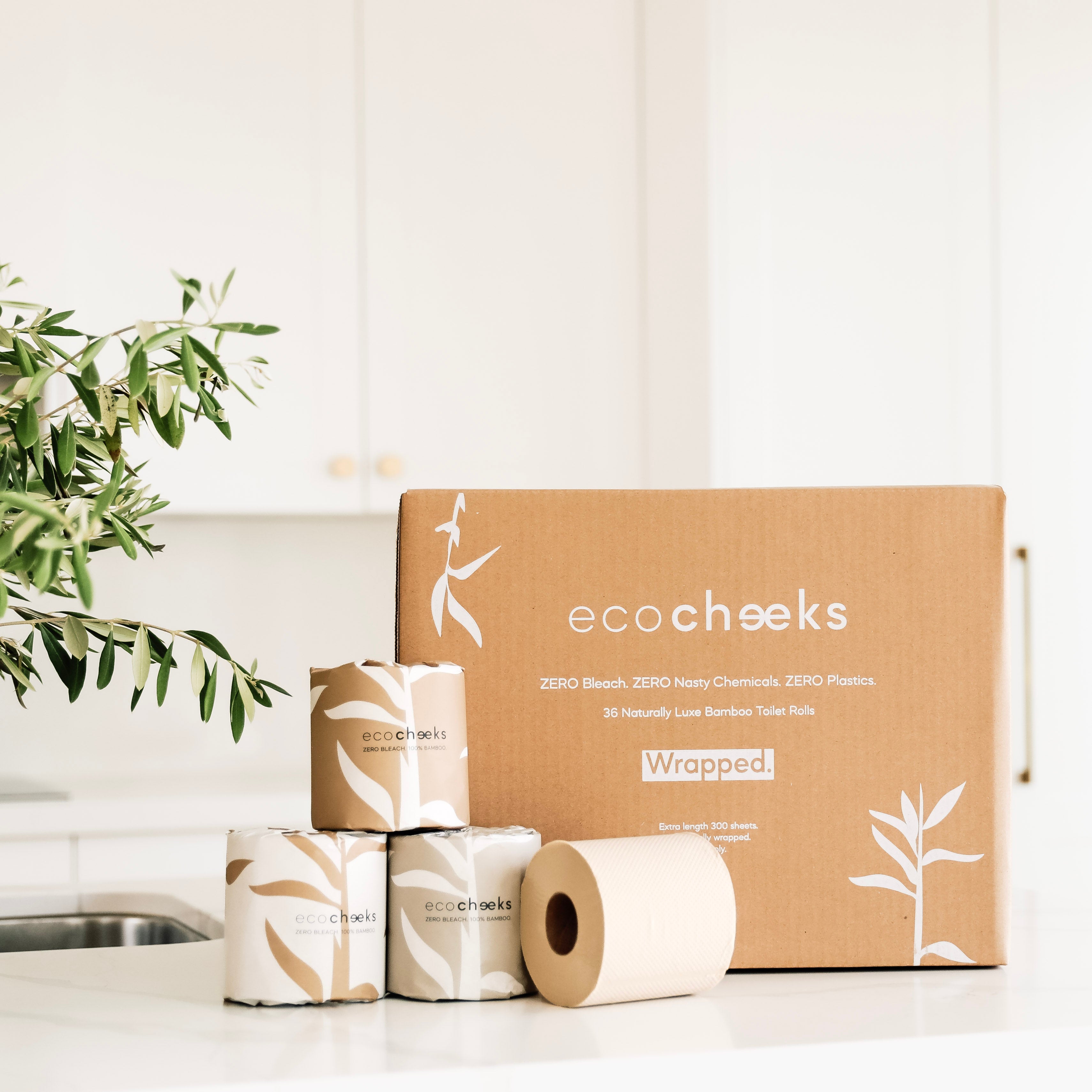 A box of wrapped bamboo toilet paper rolls